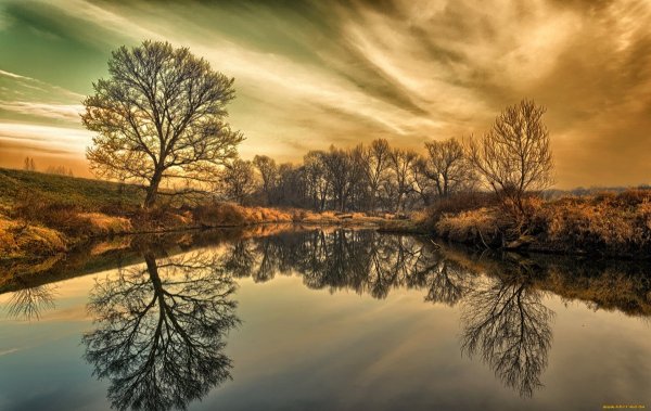 Пейзаж с отражением в воде