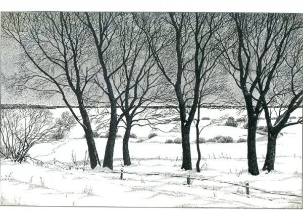 Рисунки тушью зима