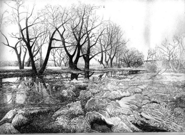 Зимний парк живопись