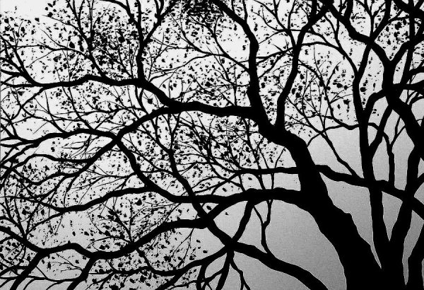 Пейзаж легкий