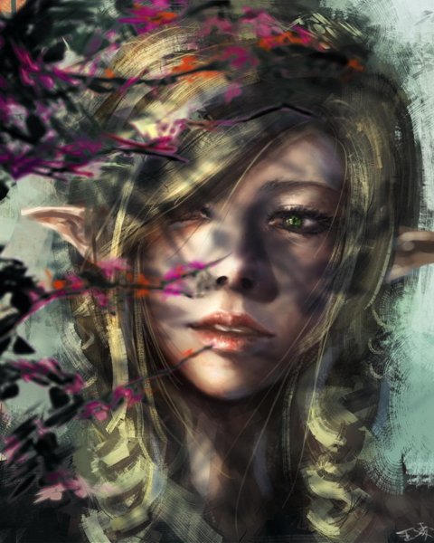 Ноа Брэдли художник