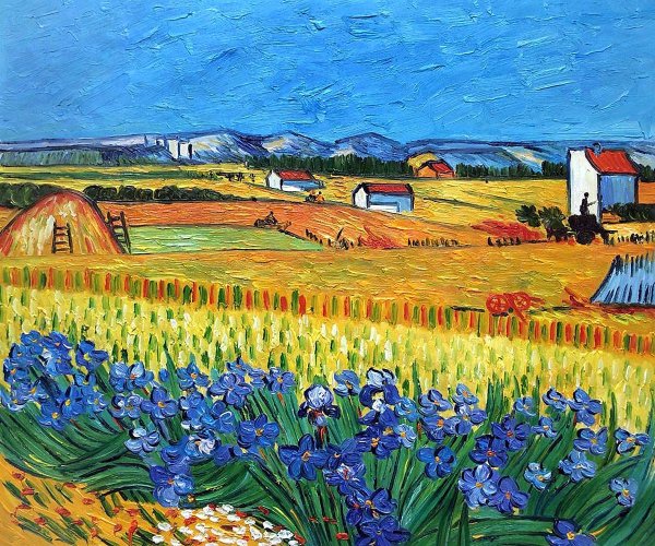 Ван Гог вид на Арль с ирисами