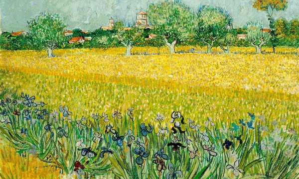 Тюльпан Винсент Ван Гог