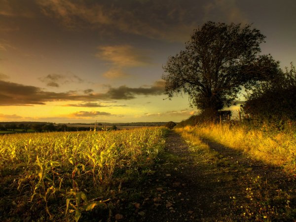 Пейзажи природы