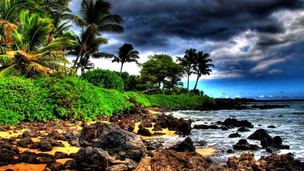 Пляж Хонокалани, остров Мауи, Гавайи, США