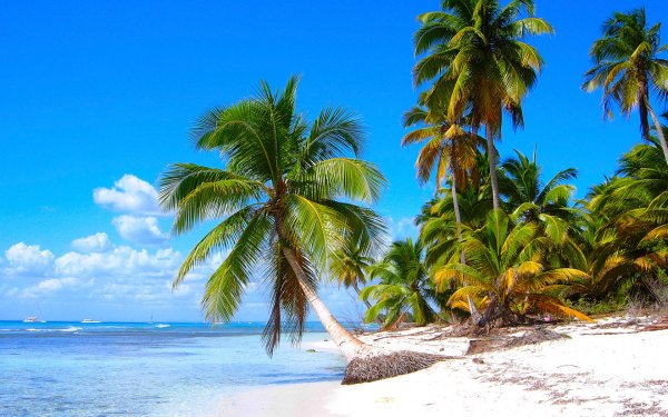 Пляж Саона Доминикана