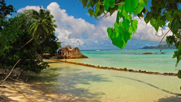 Сейшельские острова море