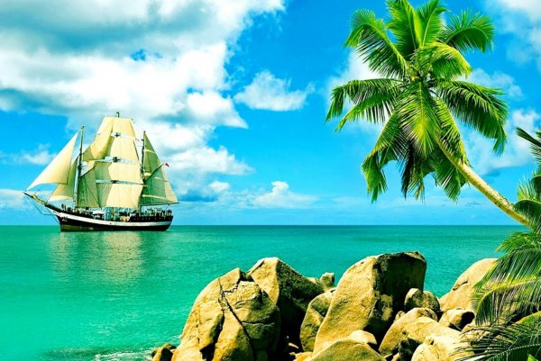 Море пляж пальмы