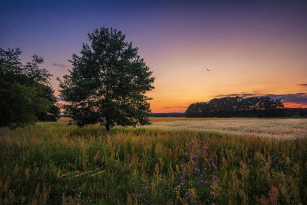 Просторы России