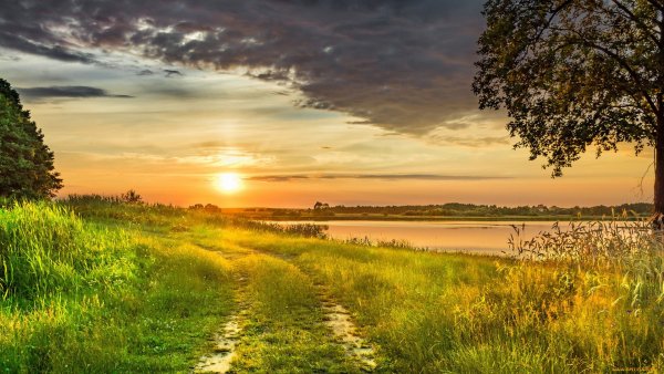 Рассвет летом