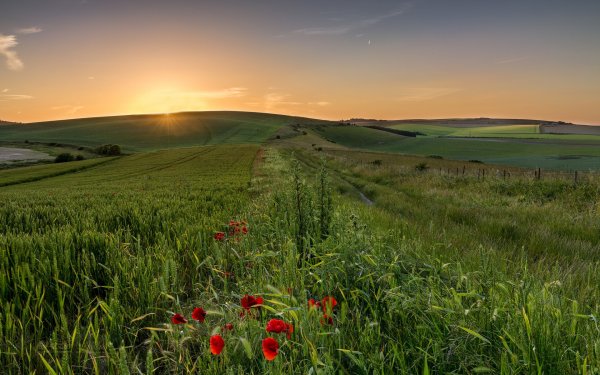 Кубанская степь Краснодарский край