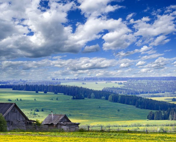 Родные просторы природа родного села