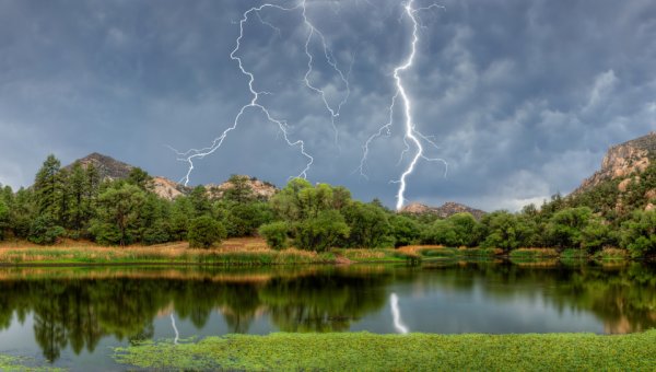 Вивальди лето гроза