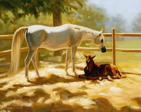 Художник Энтони Алонсо картины