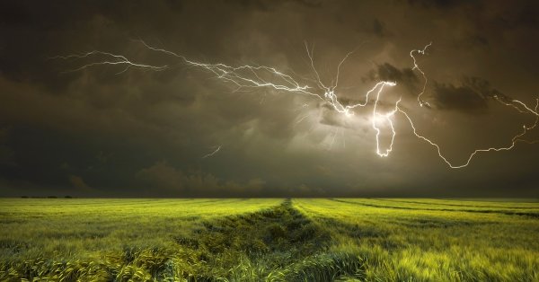 Гроза в поле