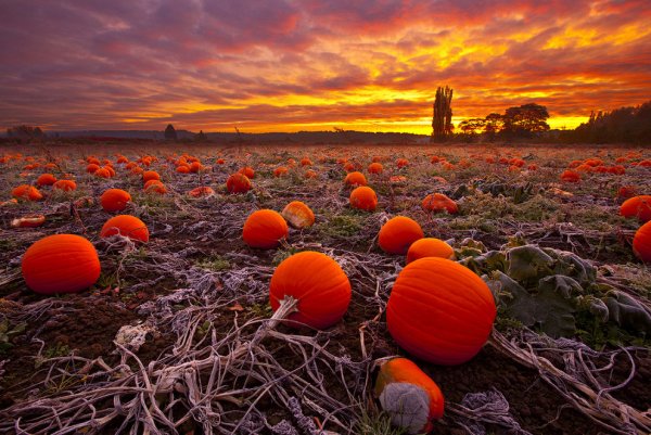 Холм Слоновьего хобота Гуйлинь