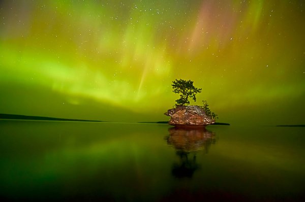 Гейзер Флай, США