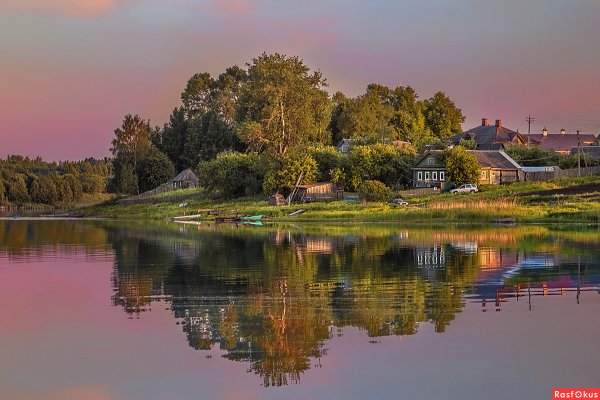 Ленинградская область деревня Рогожа