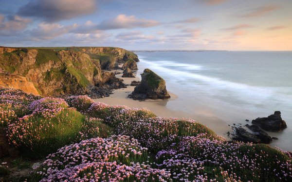 Корнуолл Великобритания природа