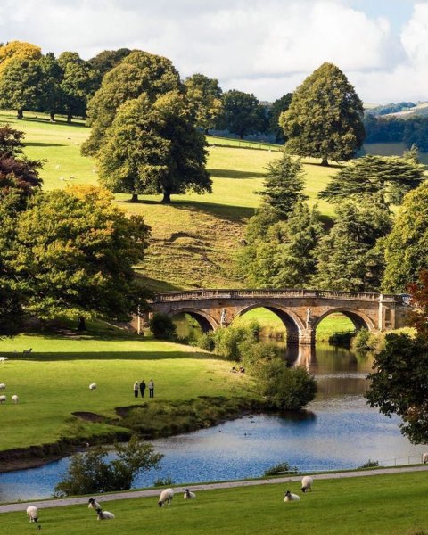 Дербишир природа