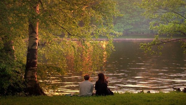 Цветы в лодке