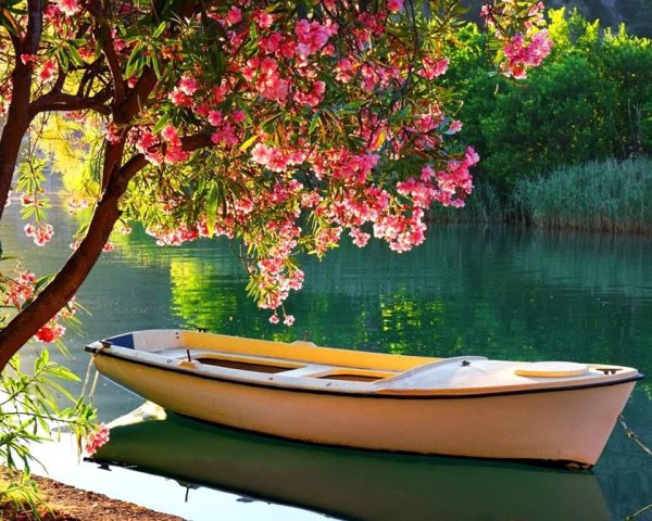 Романтический пейзаж