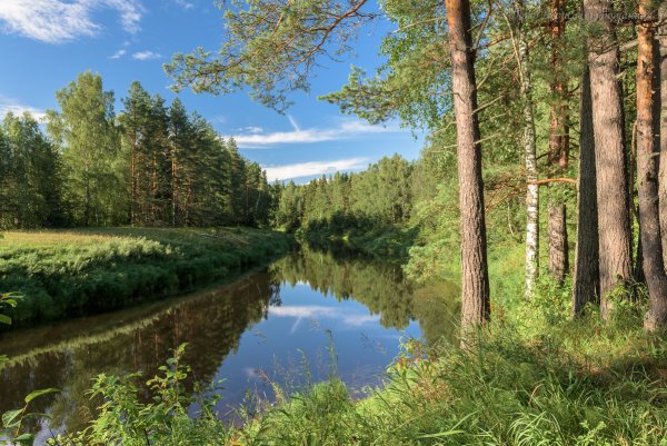 Вологда Кремль река