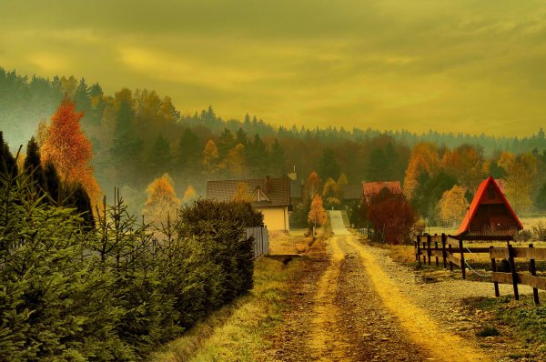 Дорога к дому в лесу