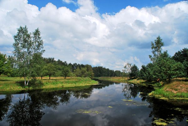 Полесье природа Белоруссия