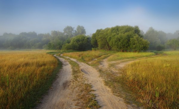 Полесье природа Беларусь