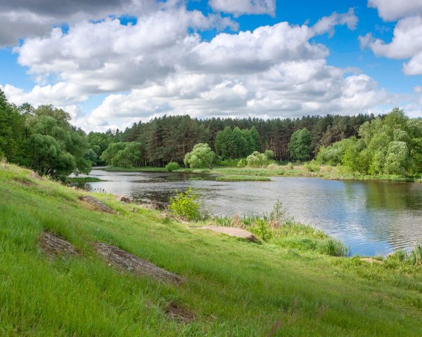 Полесская низменность