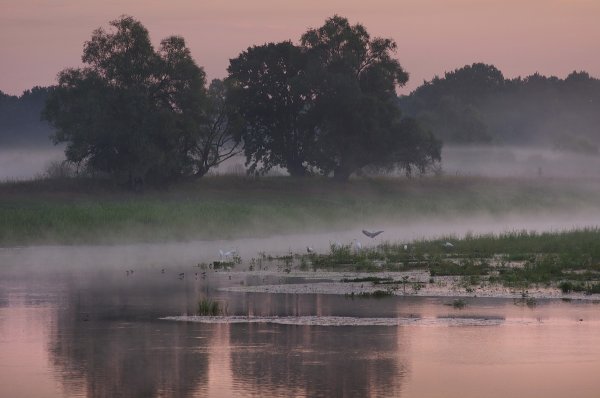 Природа и климат Беларуси