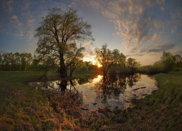 Белорусское Полесье
