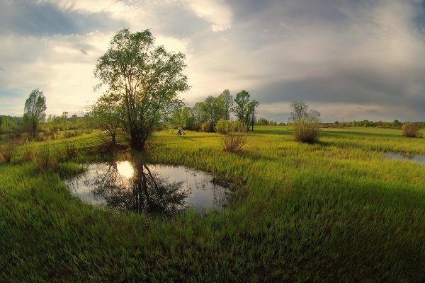 Полесье Беларусь