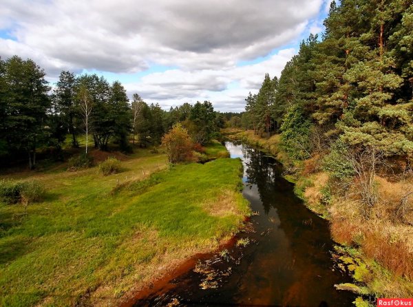 Польское Полесье