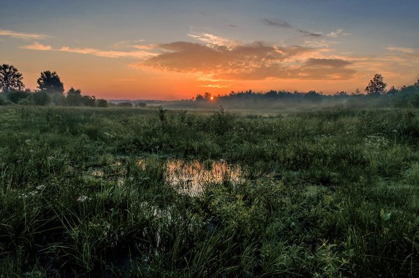 Полесье низменность