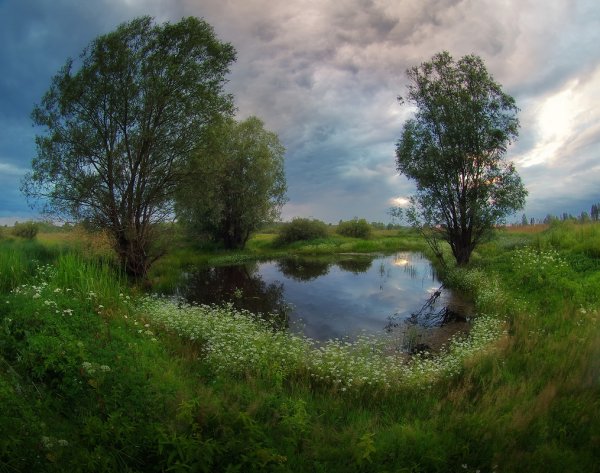Полесье Беларусь