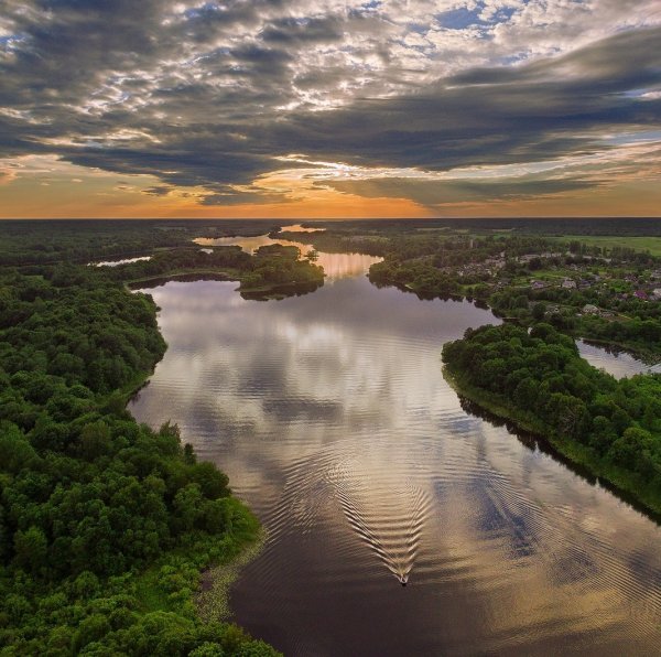 Полесская низменность