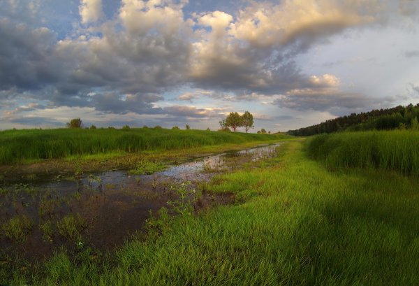 Полесье Беларусь
