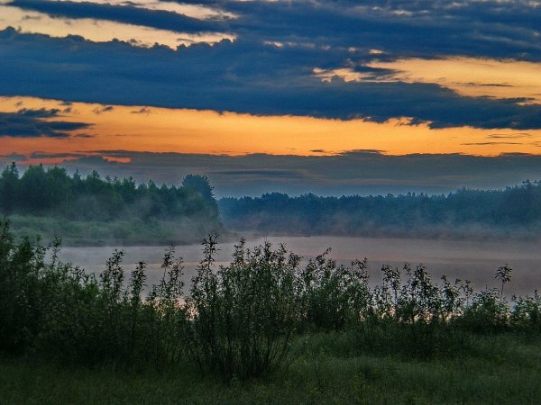 Природа белорусского Полесья