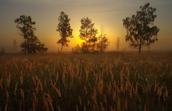 Утренний рассвет