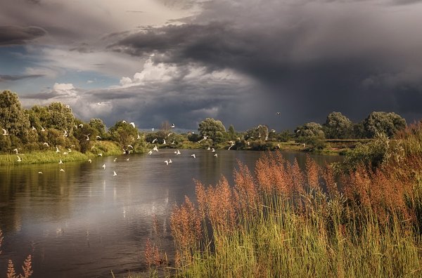 Парк Припятский Беларусь