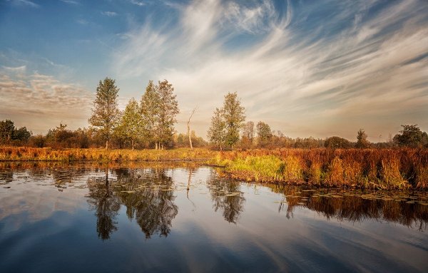 Полесье Беларусь