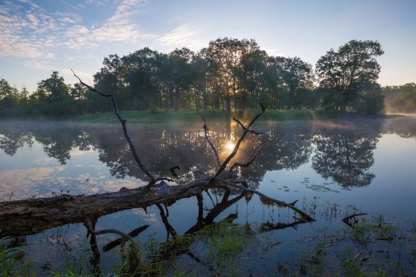 Полесье природа Беларусь
