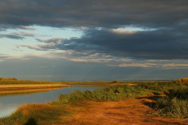 Астраханская область природа Волга