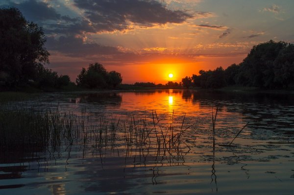 Природа Астраханского края