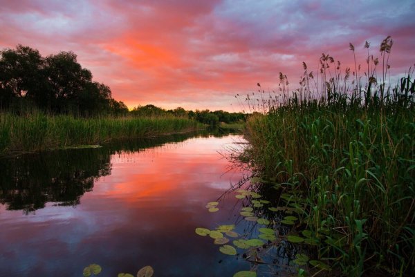 Река Волга рассвет Астрахань