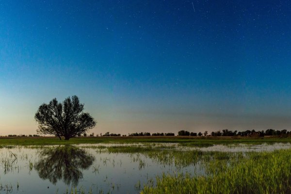 Река Ахтуба Волжский