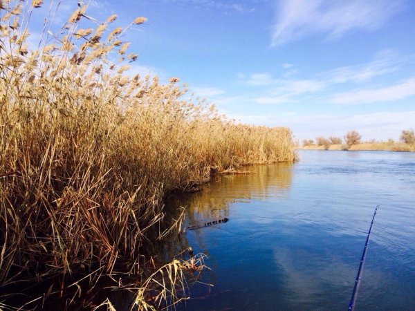 Биосферный заповедник Астрахань