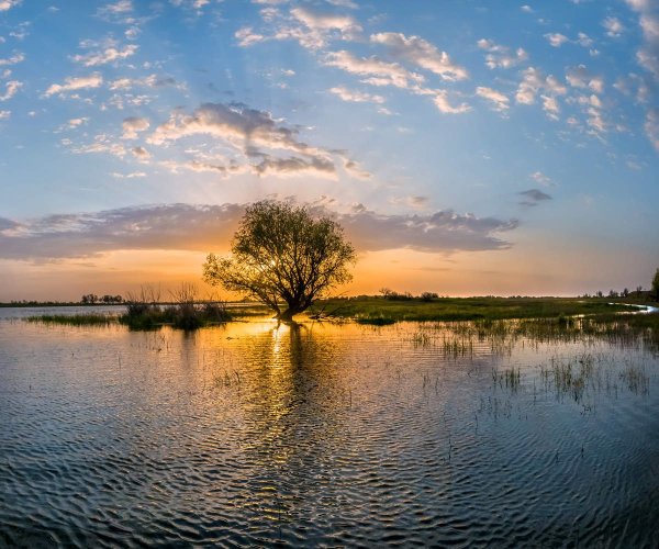 Дельта Волги Астраханский заповедник